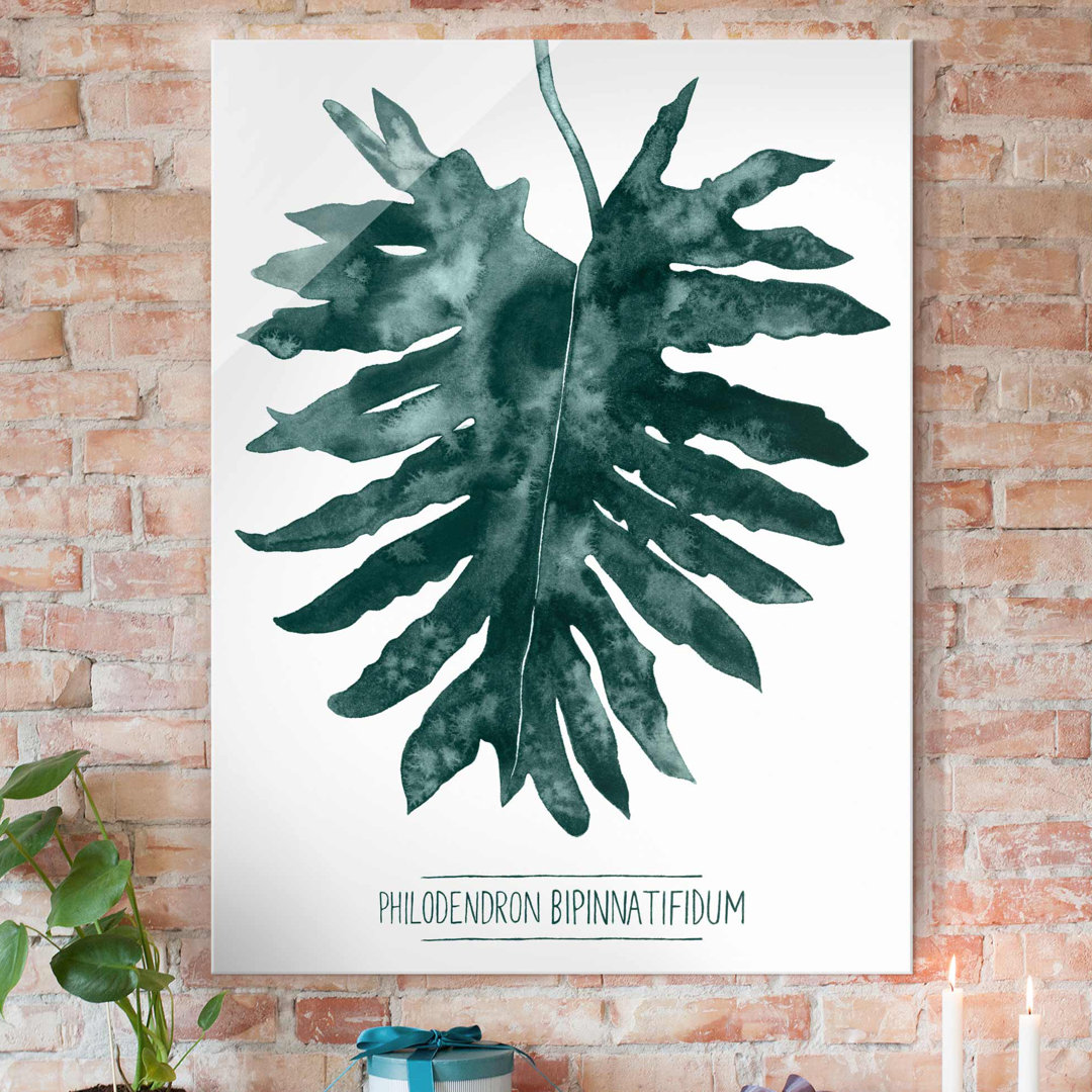 Glasbild Smaragdgrüner Philodendron Bipinnatifidum