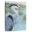 Brampt Blue Heron Portrait II-106964740