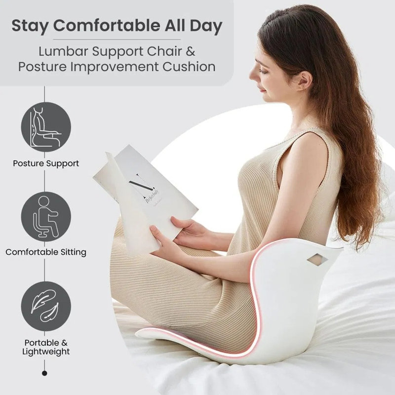 Coussin ergonomique de soutien lombaire pour chaise de bureau et siège d'auto, taille standard, housse en filet respirant, mousse viscoélastique haute densité pour les épaules et le dos, supporte 110-265 lb