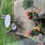Photos des clients 1 de 1