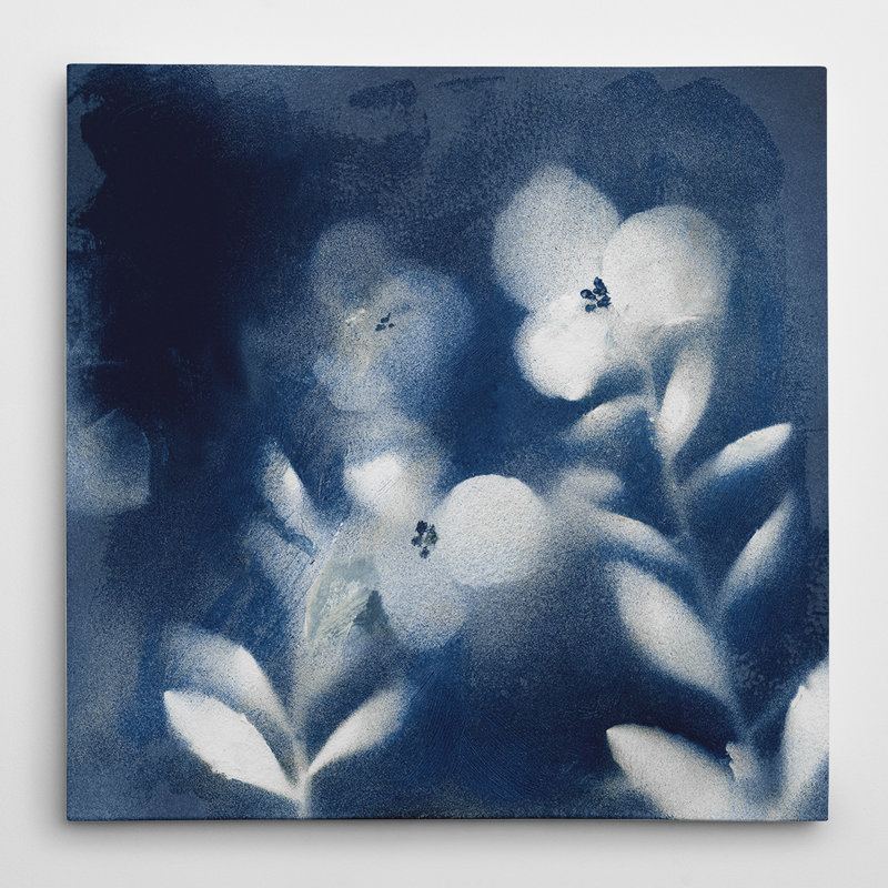 « nature indigo i », impression sur toile, H 16 po x l 16 po x P 1,5 po