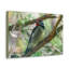 No Frame Print on Canvas-1280899116