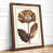 Walnut selected