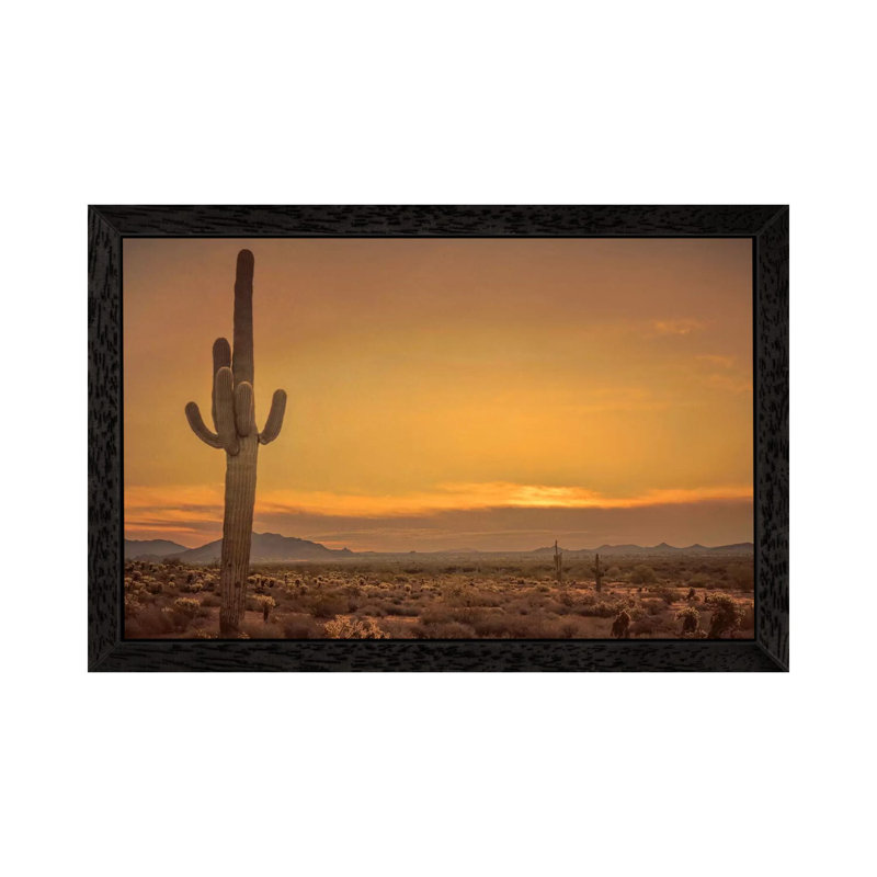 Cactus Sunrise by Don Schwartz - Floater Frame Print on Canvas, Black Framed, 152.5 cm H x 101.5 cm W