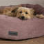 Polyester Pet Bed-75221195-75221201