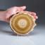 Genuine Aragonite Stalactite Slice from Mexico (0.6 lbs)