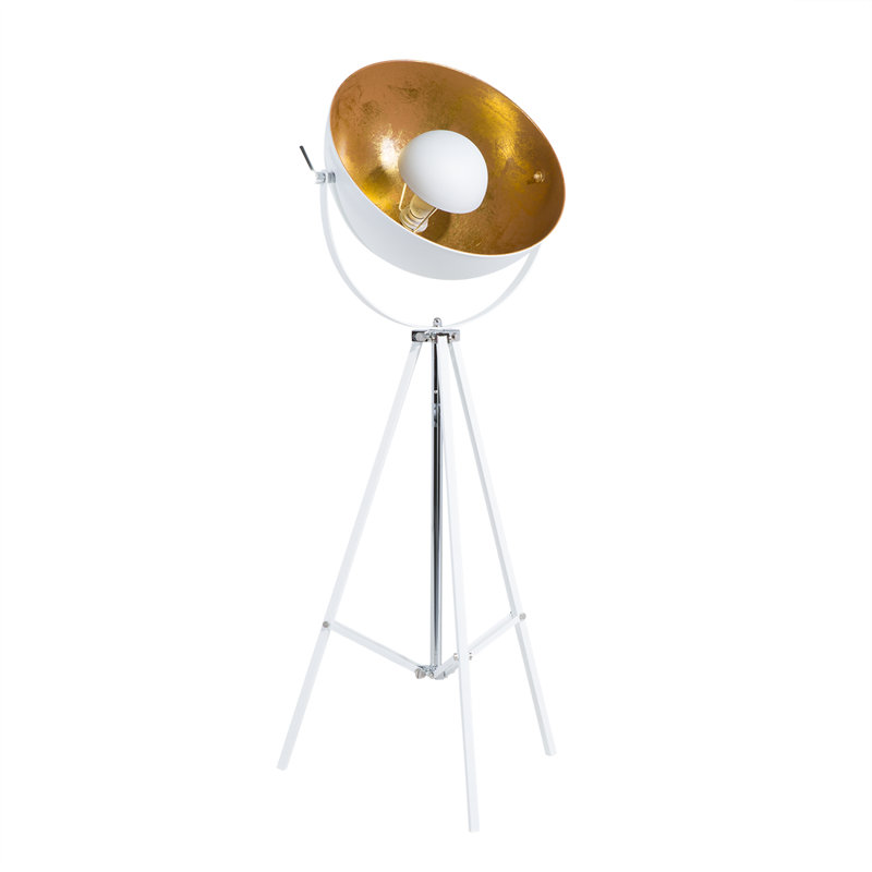 Caringorm 165cm Tripod Floor Lamp, White