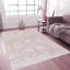 Canvello Transitional Hand-Knotted Silk Area Rug- 9'9" X 13'9"