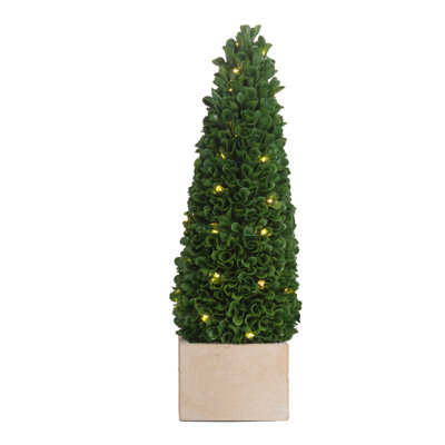15.5'' Faux Boxwood Topiary in Ceramic Pot