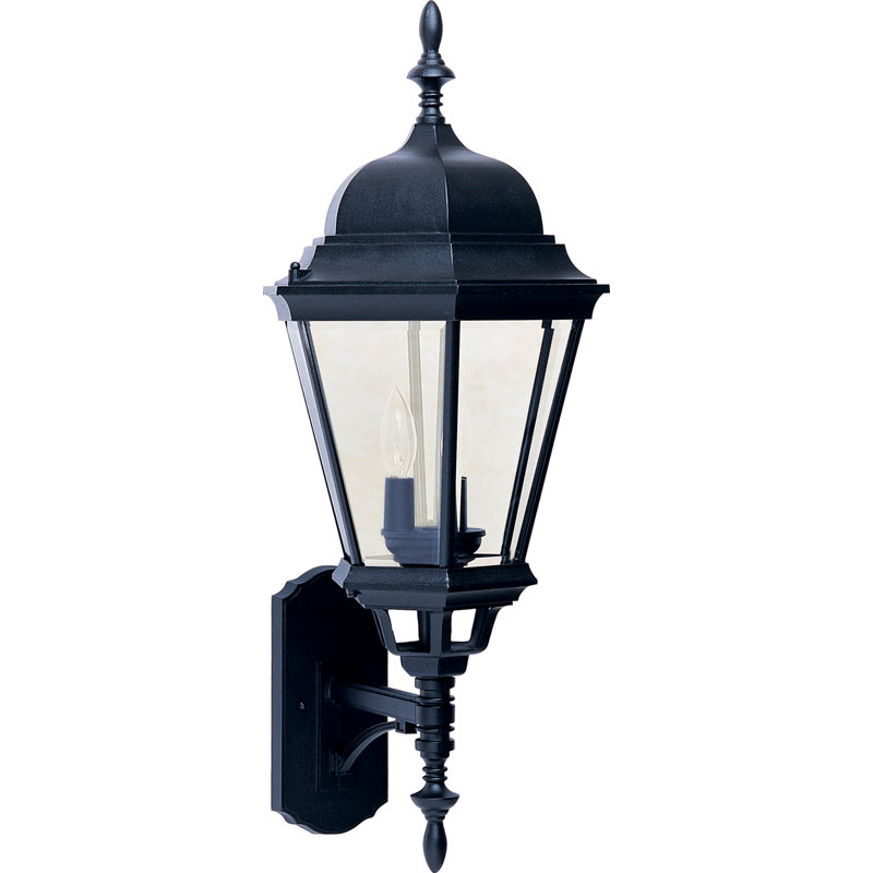 Treshawn Aluminum Wall Light, Black