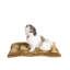 Tapis pour chien en velours doux-3848076-3848071
