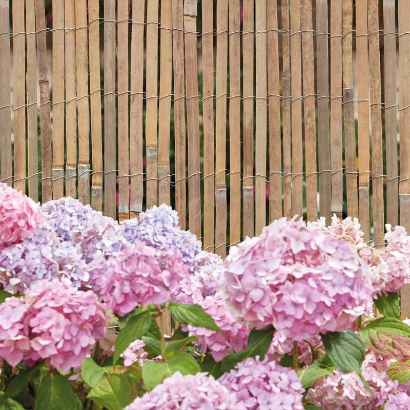 Dasha 400 cm W Bamboo Fence Panels Fencing, 180cm H x 400cm W x 3cm D