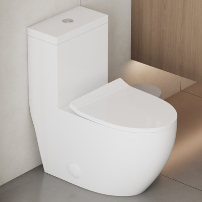 Toilette allongée monopièce à double chasse à jet double 1,1 / 1,28 GPF (siège inclus)
