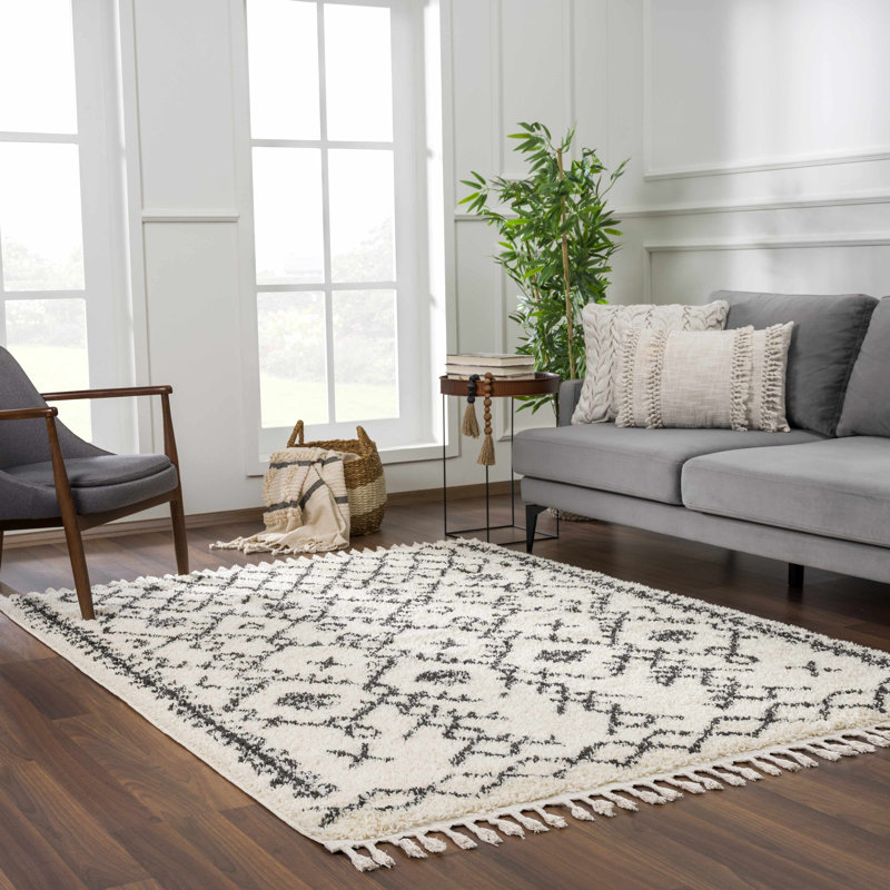 Adeen Shaggy Performance Tasseled Beige/Black Area Rug, Rectangle 6'7" x 9'