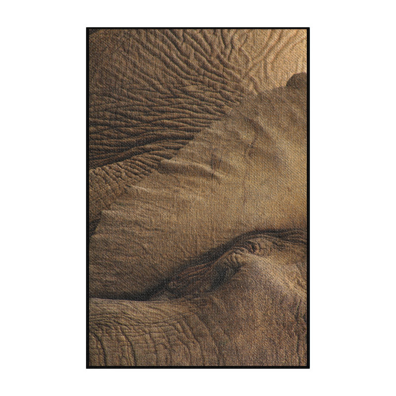 Tapis de 5 zones brun éléphant, Rectangle 2 pi x 4 pi