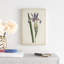 Lavender Curtis Botanicals III - Painting Print-1952776453-1911998614