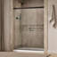 Revel 59.63'' x 76'' Double Sliding Shower Door with CleanCoat® Technology-785343697-788764344