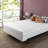 Wayfair Sleep Heavy Duty Box Spring-1093537238-1100409157
