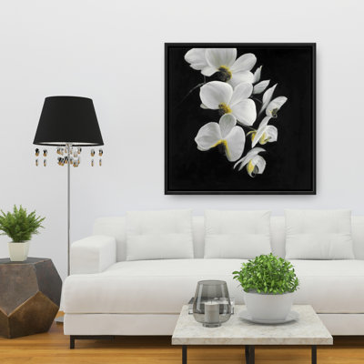 " Beautiful Orchids "