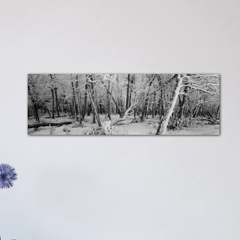 Reproduction de photo sur toile panoramique couverte d'arbres dans une forêt, Alberta, Canada, H 24 po x l 72 po x P 1,5 po