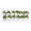 Wall Planter-23555157