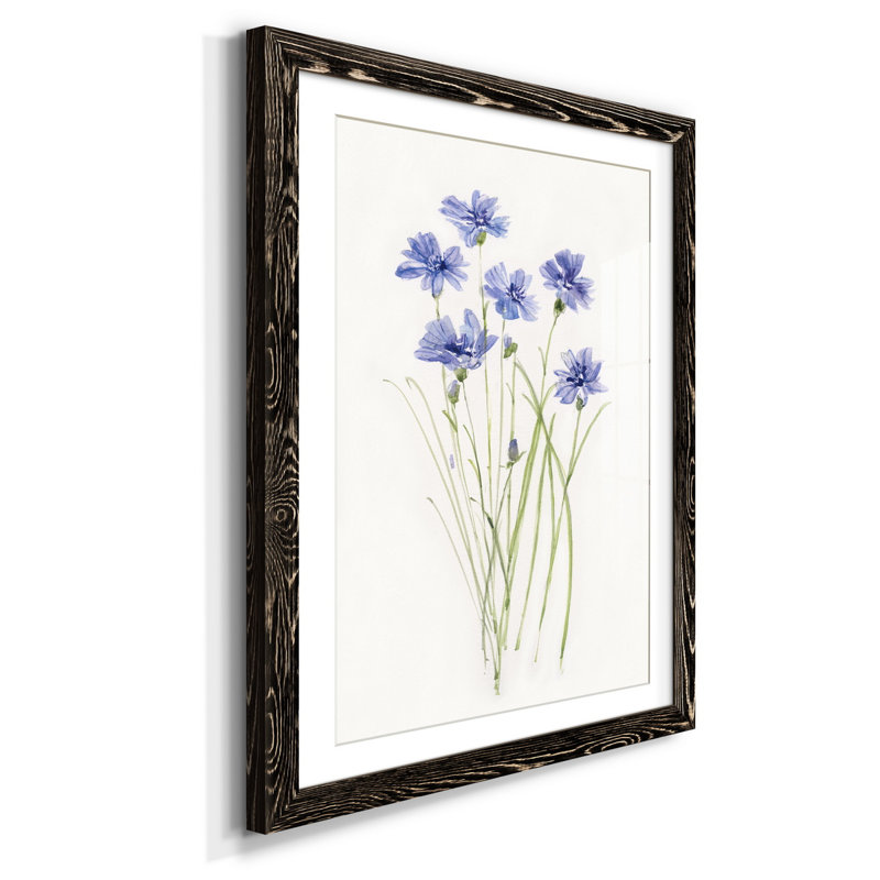 Bleuet botanique délicat - impression, H 37,5 po x l 27,5 po x P 1,5 po, Noir