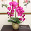 Orchidée en vaporisateur-1736211893