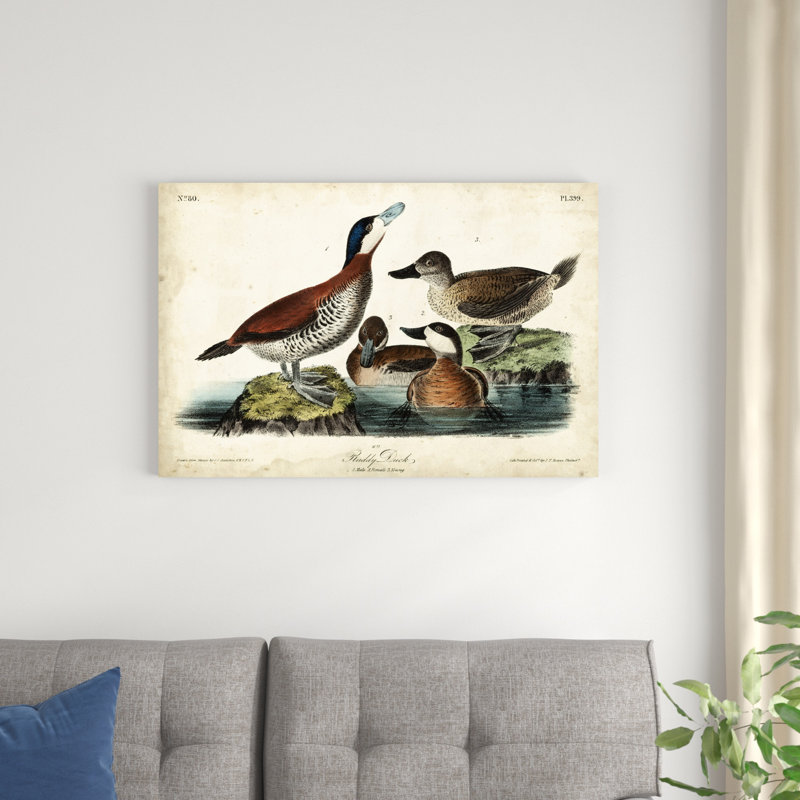 " Ducks II " by James Audubon Painting Print, 24" H x 36" W x 1.25" D