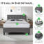 Dekeyzer Luxury Upholstered Bed - Chesterfield Style Headboard, Crisp Modern Design-1476630994-1476631005