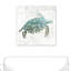 Tortue de mer turquoise - reproduction sur toile-24799603-24799605