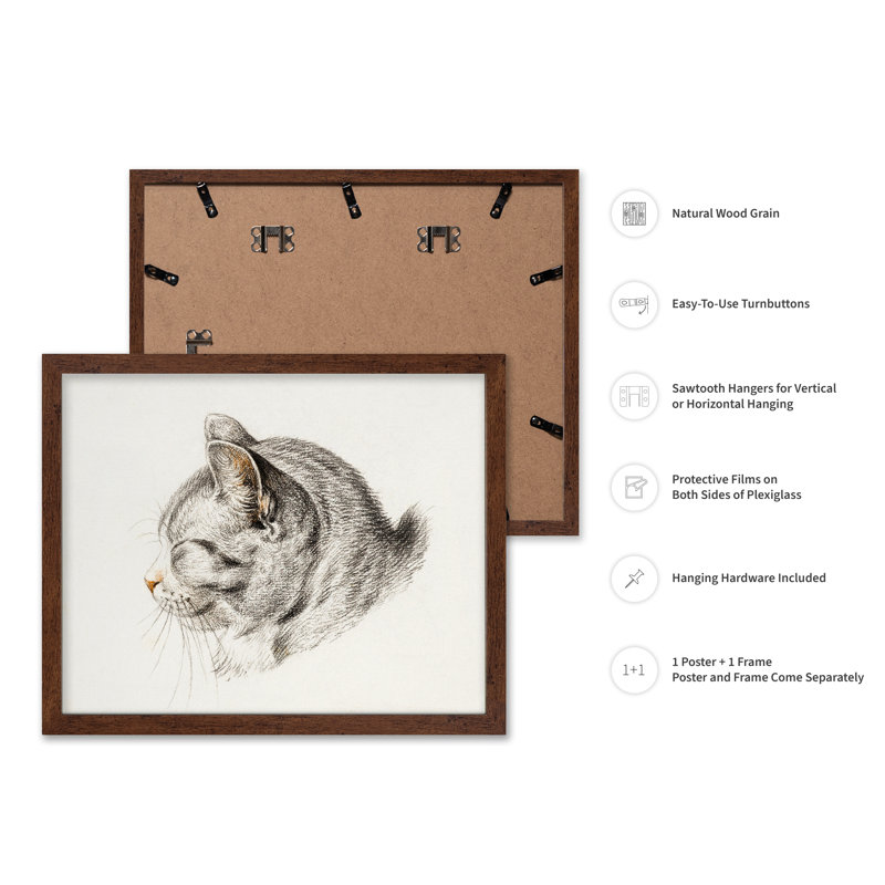 Esquisse d'un chat, Affiche, H 18 po x l 24 po, Encadrement brun
