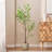 51.1'' Faux Bonsai Tree in Planter