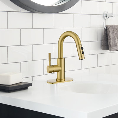 Axia Pull-Down Sprayer Bathroom Faucet With Pop-Up Drain & Deck Plate