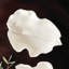 MORICENTO LEAF SCULPTURE SMALL-1406978054-1404565870
