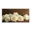 Lowrine 50cm W x 100cm L Glass Peel and Stick Panel