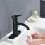 Robinet pour salle de bain - Poignée monotrou - Noir mat - Fabrication en acier inoxydable, cartouche de rouille, finition égratignée, construction de lignes d'alimentation, haute performance incluse