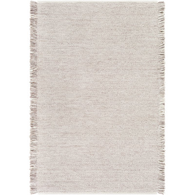 Hinton tissé à la main et recyclé P.E.T. Tapis intérieur / extérieur taupe / crème