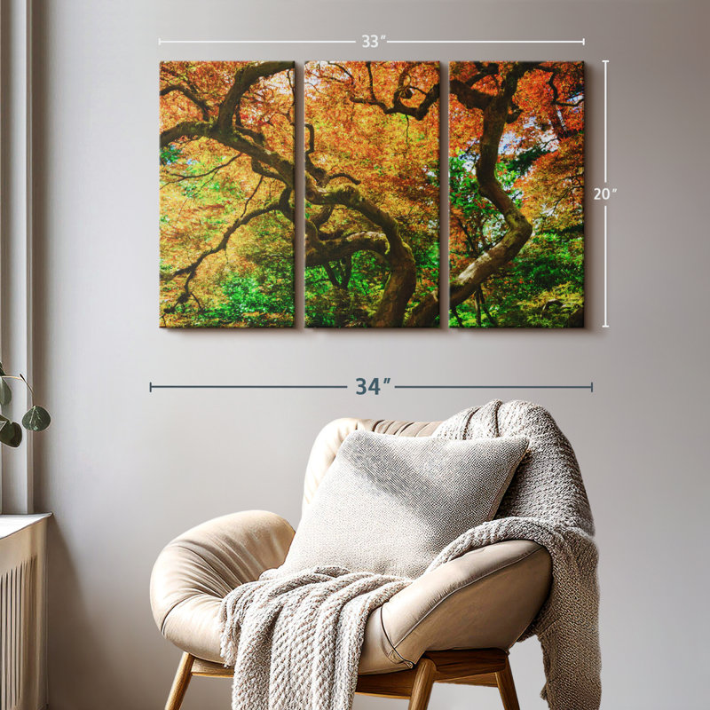 Nature «Mossy Maple Tree Canvas Print» sur, H 20 po x l 33 po x P 1,25 po