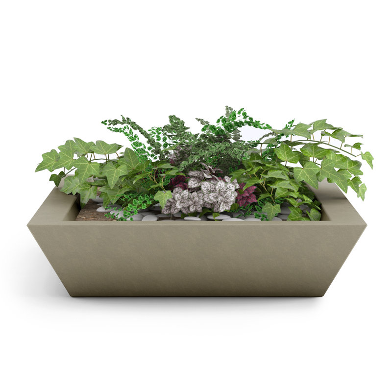 Newport Shallow Concrete Planter , SandStone, 6" H x 24" W x 24" D