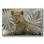 Boho Cheetah, peinture sur toile encadrée-94363710-94363713