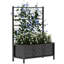 Raised Garden Bed with Trellis