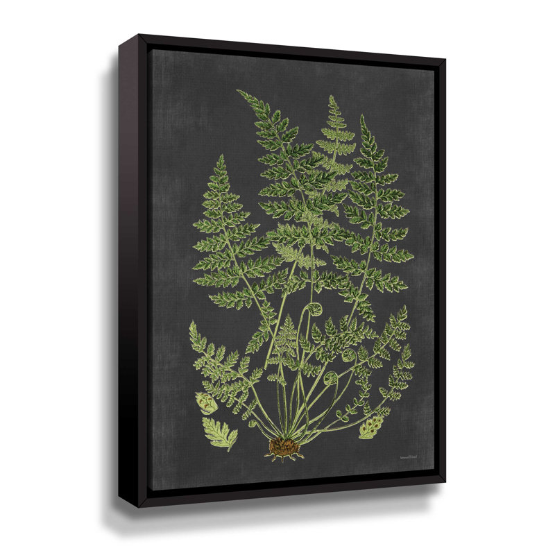 Étude de fougère - Impression sur toile, Cadre noir, H 18 po x l 14 po x P 2 po