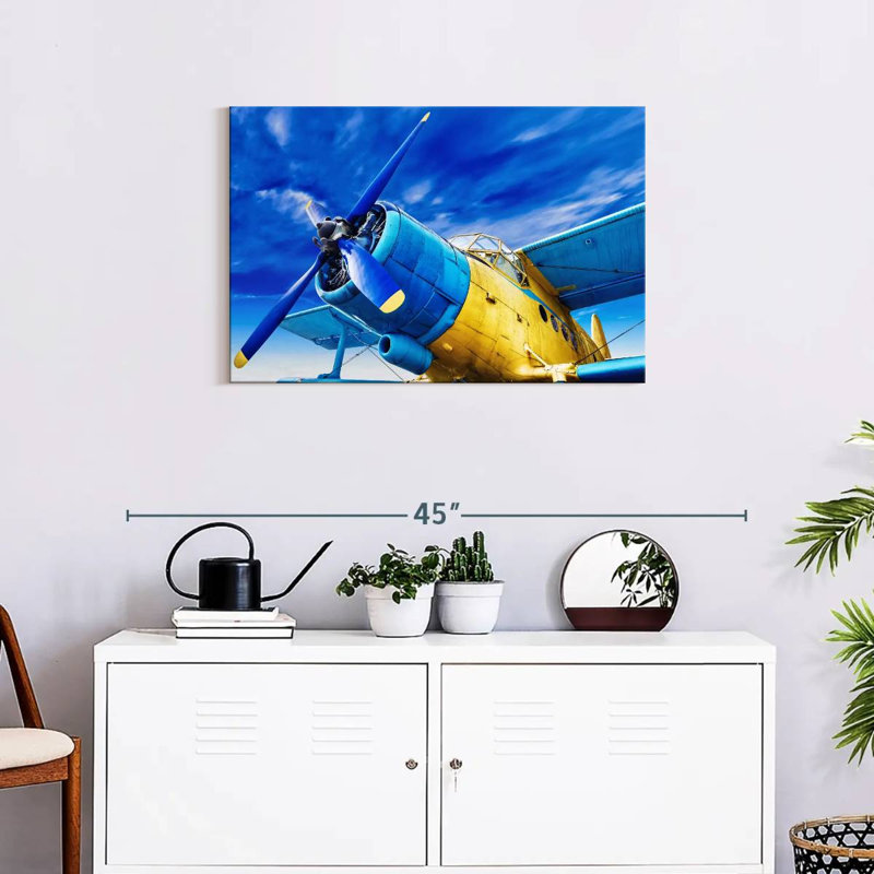Mehar Funky Airplane, 20" H x 30" W