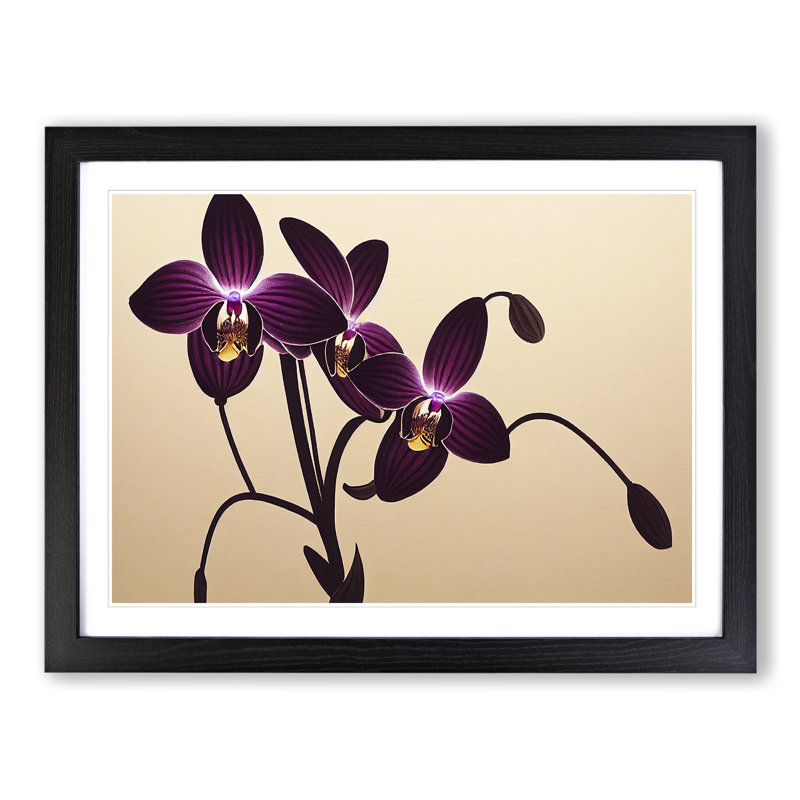 Striking Orchid Flowers - Single Picture Frame Print, Black, 25cm H x 34cm W x 2cm D