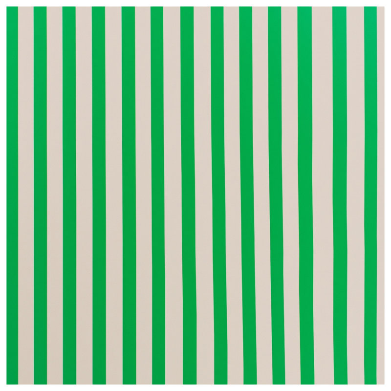 Tapis de bain vert et blanc à rayures verticales, L 24 po x L 17 po