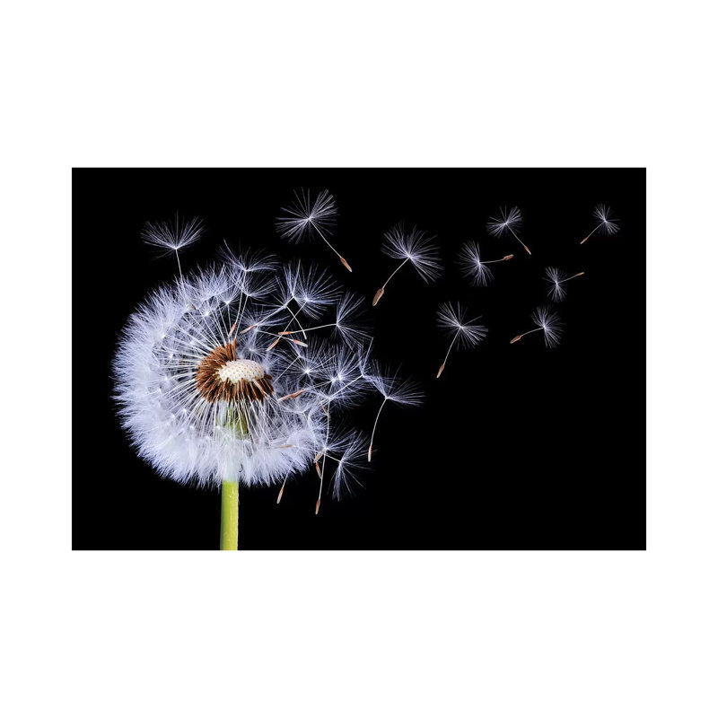 «Dandelion Blowing I» par Bess Hamiti - reproduction de photo, Toile tendue, H 26 po x l 40 po x 1,5 po