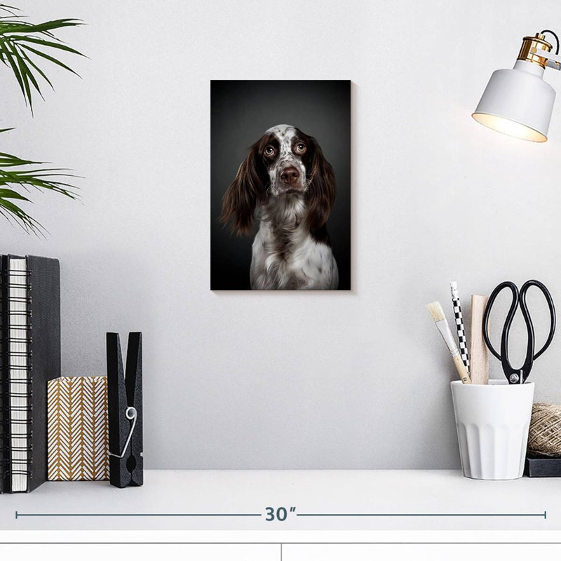 Adorable English Setter, 12" H x 8" W