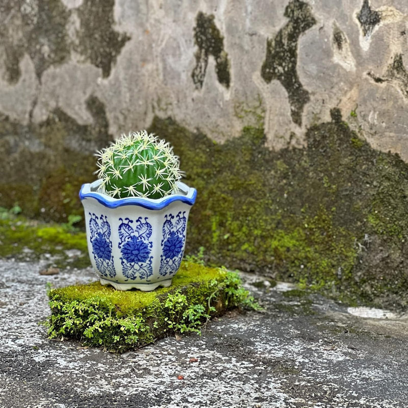 Ensemble de 3 jardinières d'intérieur avec drainage