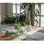 Glass Carafe-648441396
