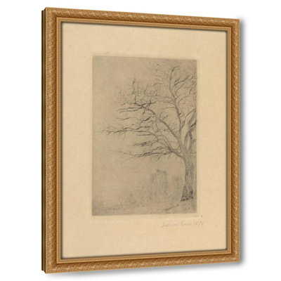 Acacia (1888)